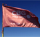 CBG Pro Tour